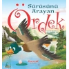 Sürüsünü Arayan Ördek