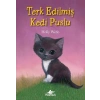 Terk Edilmiş Kedi Puslu