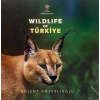 Wıldlıfe Of Türkiye