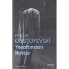 Yeraltından Notlar (Fotoğraflı Klasikler)