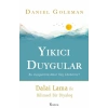 Yıkıcı Duygular