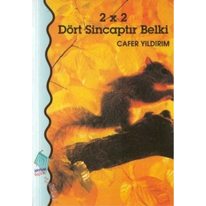 2 x 2 Dört Sincaptır Belki