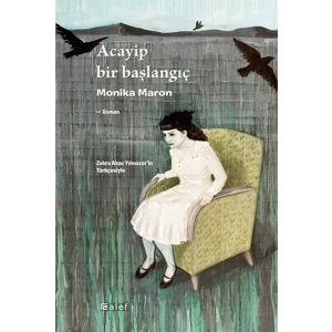 Acayip Bir Başlangıç