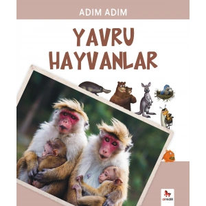 Adım Adım - Yavru Hayvanlar