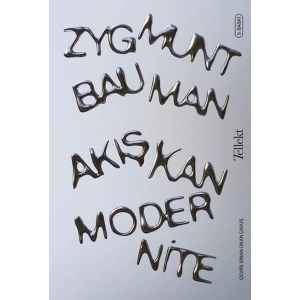 Akışkan Modernite