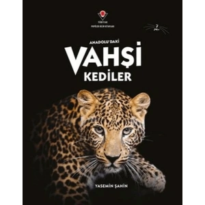 AnadoluDaki Vahşi Kediler