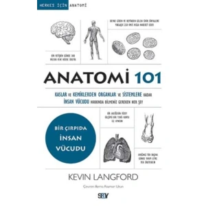 Anatomi 101