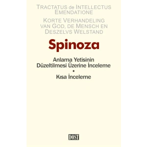 Anlama Yetisinin Düzeltilmesi Üzerine İnceleme