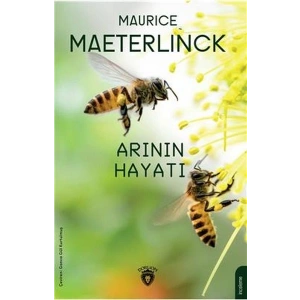 Arının Hayatı