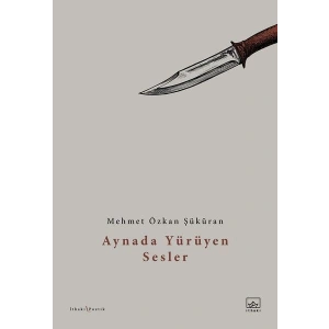 Aynada Yürüyen Sesler