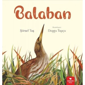 Balaban