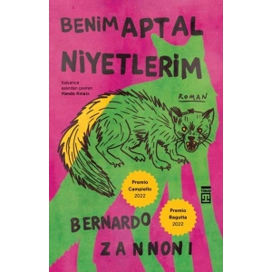 Benim Aptal Niyetlerim