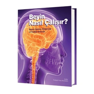 Beyin Nasıl Çalışır? (Ciltli)
