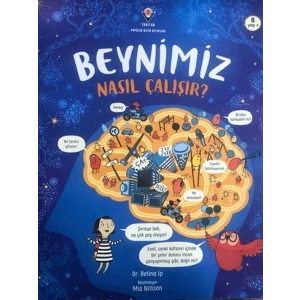 Beynimiz Nasıl Çalışır?