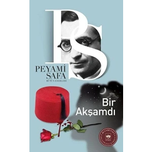 Bir Akşamdı