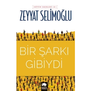 Bir Şarkı Gibiydi