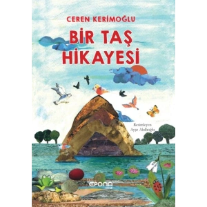 Bir Taş Hikayesi