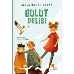 Bulut Delisi