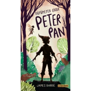 Büyümeyen Çocuk Peter Pan