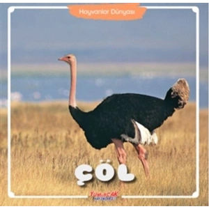 Çöl - Hayvanlar Dünyası