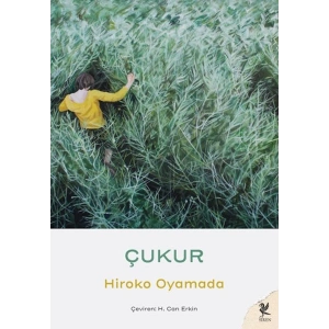 Çukur