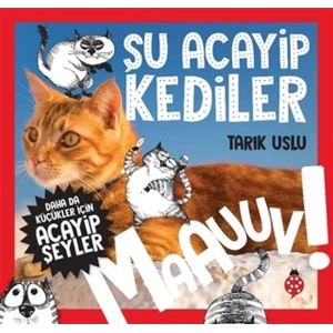 Daha Küçükler İçin Şu Acayip Kediler