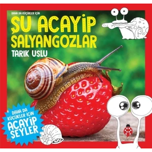 Daha Küçükler İçin Şu Acayip Salyangozlar