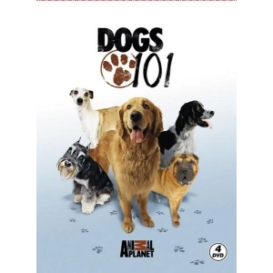 Dogs 101 - Köpekler