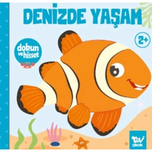 Dokun ve Hisset Denizde Yaşam