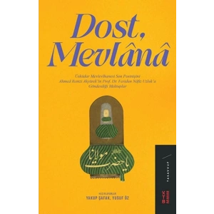 Dost Mevlânâ
