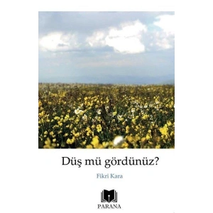 Düş mü Gördünüz?