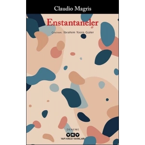 Enstantaneler