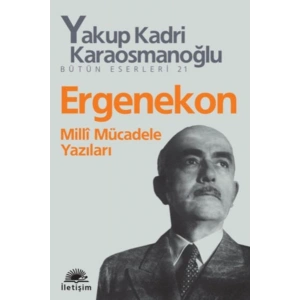 Ergenekon  Milli Mücadele Yazıları