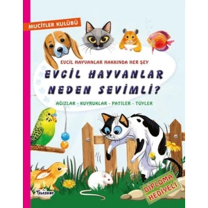 Evcil Hayvanlar Neden Sevimli?