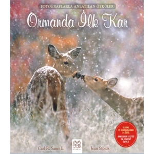 Fotoğraflarla Anlatılan Öyküler - Ormanda İlk Kar