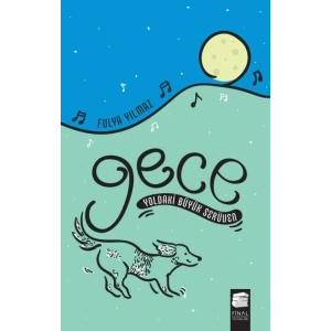 Gece Yoldaki Büyük Serüven