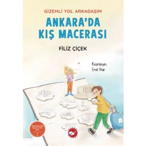 Gizemli Yol Arkadaşım - Ankarada Kış Macerası