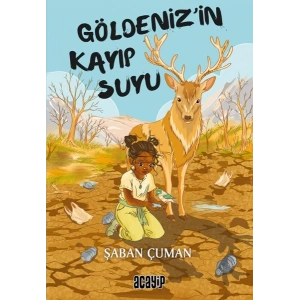 Göldeniz’in Kayıp Suyu