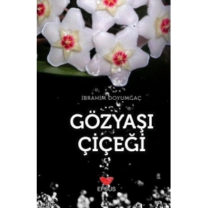 Gözyaşı Çiçeği