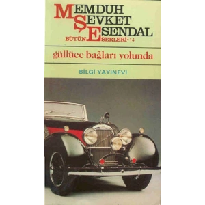 Güllüce Bağları Yolunda