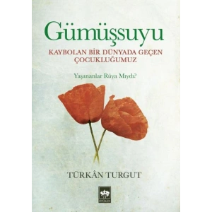 Gümüşsuyu