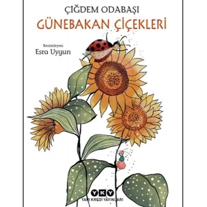 Günebakan Çiçekleri