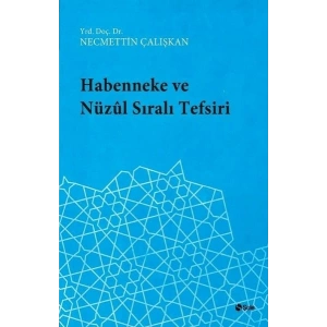 Habenneke ve Nüzul Sıralı Tefsiri