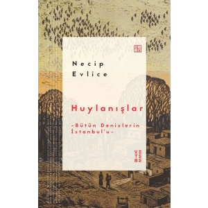 Huylanışlar