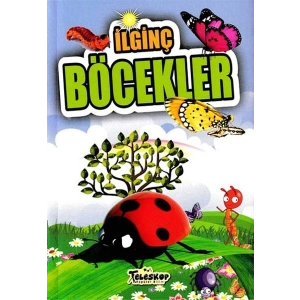 İlginç Böcekler - İlginç Bilgiler Serisi