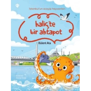 İstanbulun Acayip Hayvanları Haliçte Bir Ahtapot