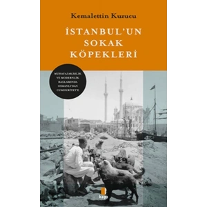 İstanbul’un Sokak Köpekleri