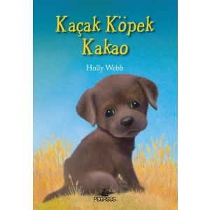 Kaçak Köpek Kakao