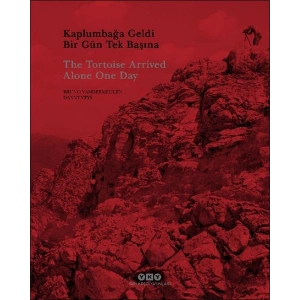 Kaplumbağa Geldi Bir Gün Tek Başına