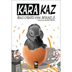 Kara Kaz